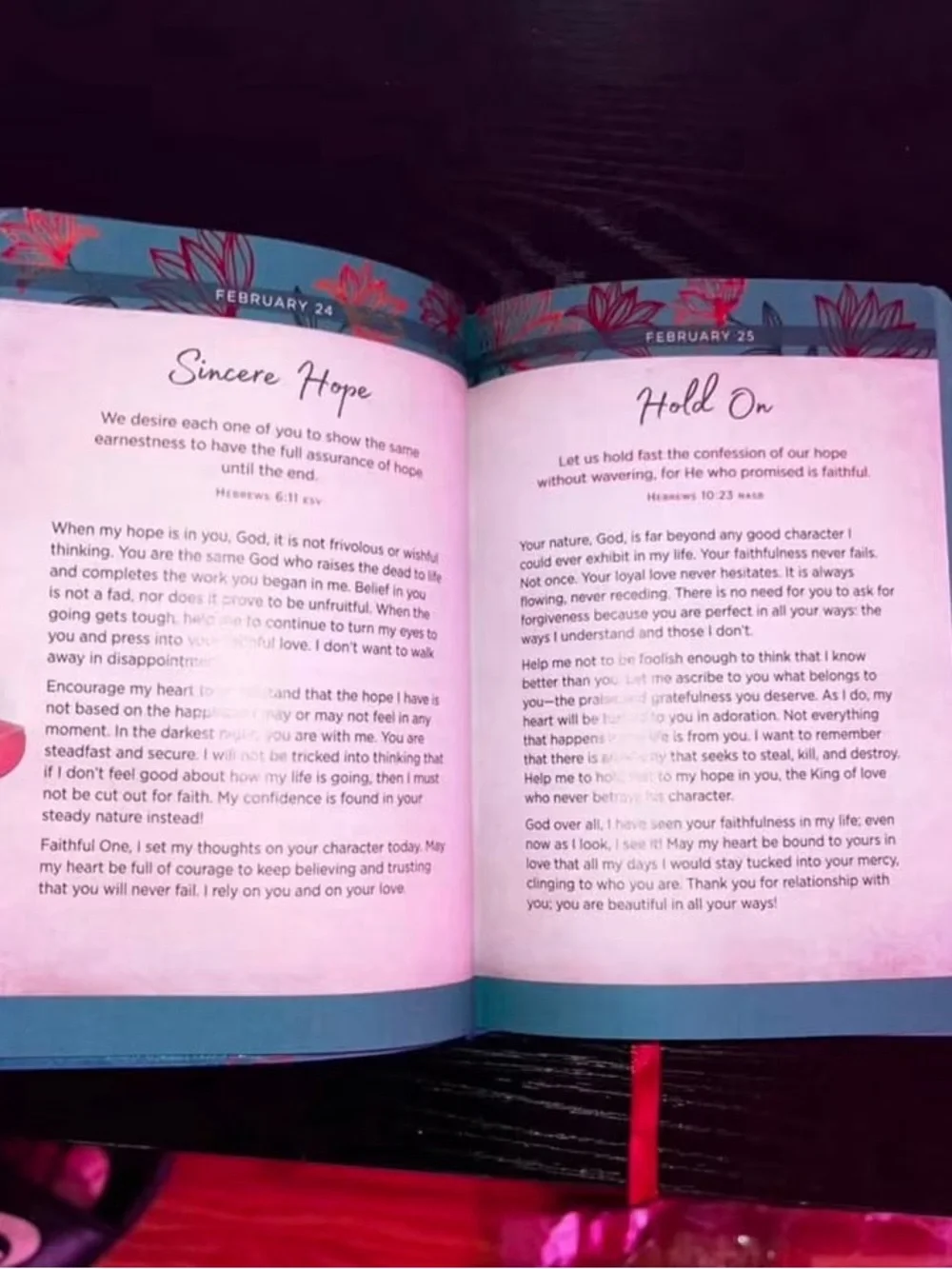 365 Days of Prayer for Depression and Anxiety - Teal & Red Floral Hardcover